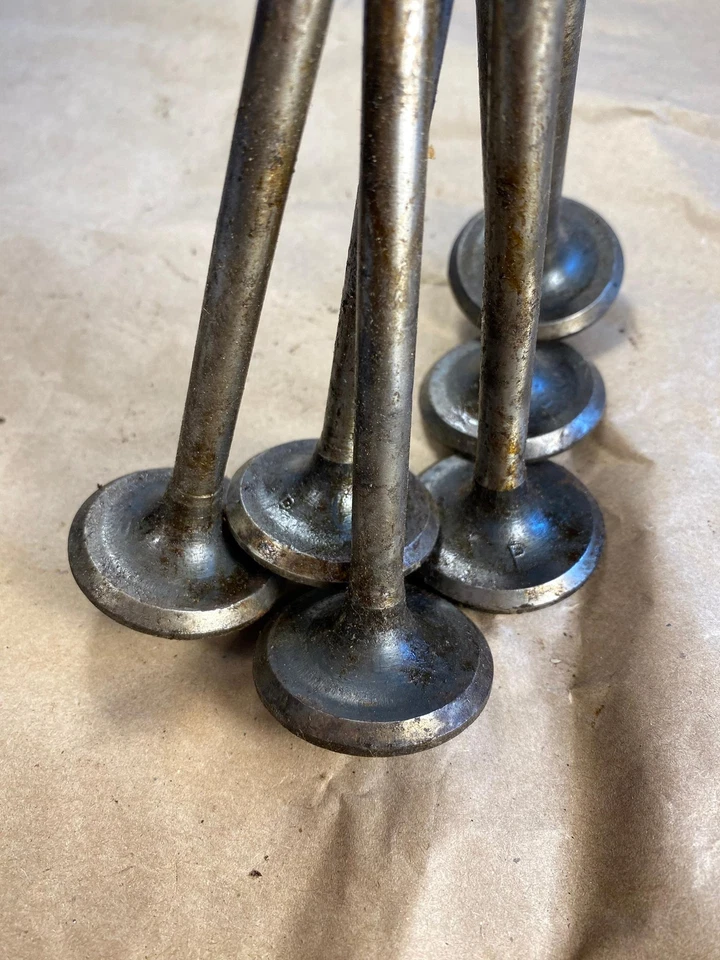 1934 Chevrolet Master intake valve set of 6 NORS Thompson - Image 3 of 4