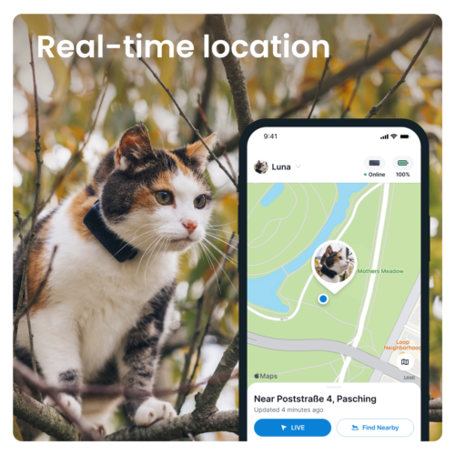 Tractive CAT Mini GPS Cat Tracker | Refurbished | Dunkelblau | Trusted by Ben Fogle - Bild 4 von 11