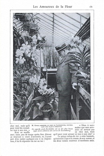 Les amoureux de la fleur - Article de presse 1908 - Picture 4 of 4