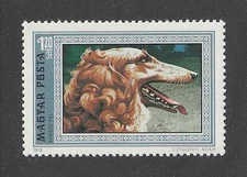 Dog Art Head Portrait Postage Stamp BORZOI RUSSIAN WOLFHOUND Hungary 1972 MNH
