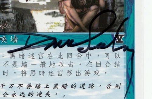 Dark Maze, Simplified chinese V Symbol 5th edition Mtg, Signed by the Artist - Imagen 3 de 3