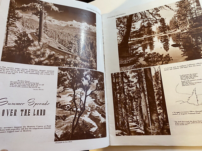 ca　Magazine　1965年 IMG_4426_grande.jpg?v=1732475349