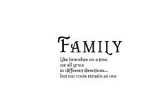Family like branches on a tree Wall Stickers Home decor Decals Quote UK zx64