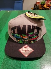 2015 Bioworld Nikelodeon TMNT Snap Back Baseball Hat