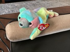 TY Beanie Baby - SAMMY the Bear (8.5 inch) w/ Tags Retired