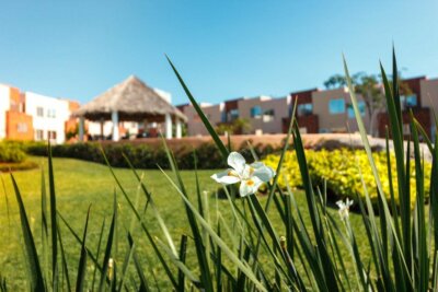 CASA CON PISCINA Y HERMOSOS JARDINES 2 Y 3 RECAMARAS CUERNAVACA SUR