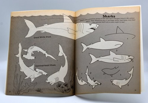 5 PAPERBACK BOOKS FOR CHILDREN, 2 MULTICULTURAL ART, DRAWING, PAPER FUN, WRITING - Picture 17 of 19