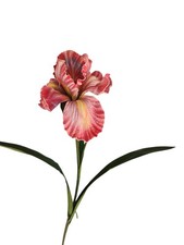 Artificial Iris Flower 33 Inch Tall Pink Faux Iris Stem Hand Painted Look Floral