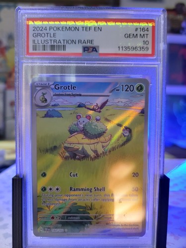 2024 Pokemon Grotle 164/162 Sv05: Temporal Forces Holo PSA 10 GEM MINT Low Pop - Picture 4 of 10