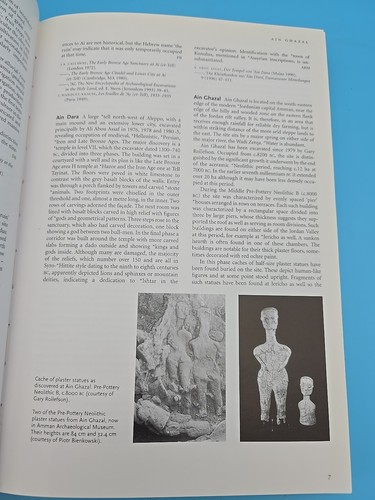 Dictionary of the Ancient Near East 2000 Alan Millard Piotr Bienkowski HBDJ - Bild 11 von 16