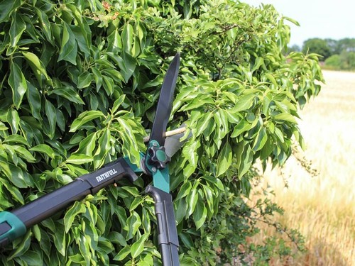 Faithfull Countryman Hedge Shear 300mm (12in) - Picture 2 of 2