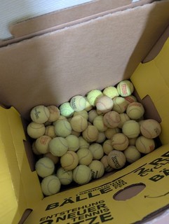 70x Gebrauchte Tennisbälle Diverse Marken Dunlop Wilson Treton