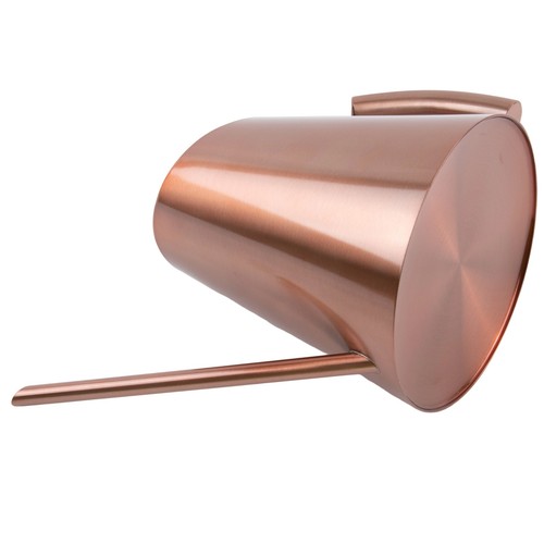 For Indoor Outdoor Plant Care with Stylish Long Spout Metal Watering Can - Bild 5 von 57