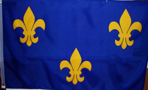 BLAU & GOLD Fleur de Lis FLAGGE - LOUISIANA HISTORISCH - FRANZÖSISCH - KARNEVAL - Bild 2 von 3