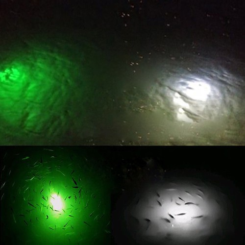 LED Deep Underwater Diamond Fishing Flashing Light Bait Lure Squid Strobe Green - Picture 10 of 17