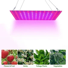 1000W Grow Light UV IR Red Blue Full Spectrum Lamp for Indoor Plant Veg Flower