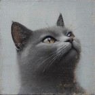Fliesenaufkleber 10X10 cm für Küche und Bad - Fliesenfolie Katzen Motiv