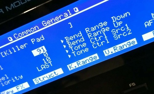 Roland JD-990 Display LED personalizzato LUX (negativo)! - Foto 10 di 11