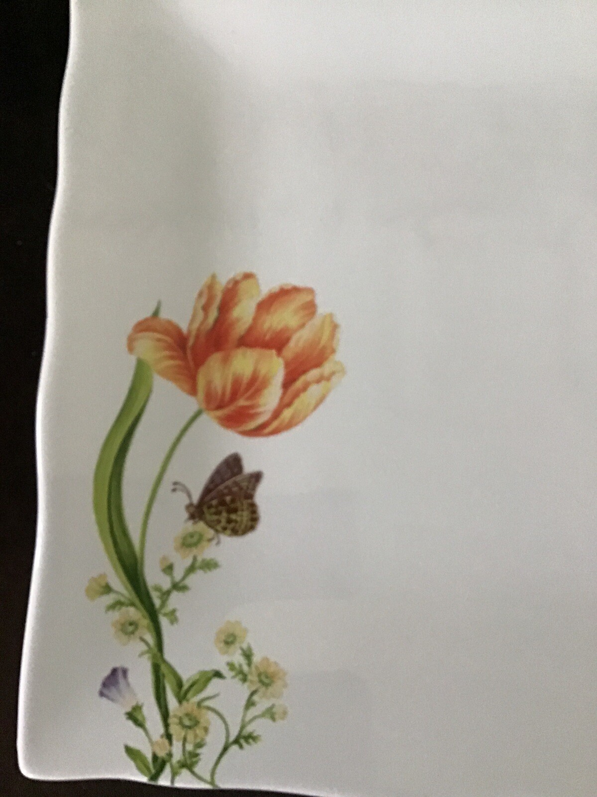 Picture 2 of 6