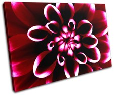 Flowers Floral SINGLE CANVAS WALL ART Picture Print