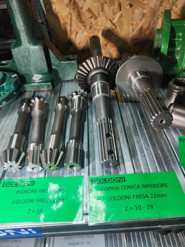 COPPIA CONICA CON ASSE FRESA MOTOCOLTIVATORE GOLDONI TIPO 22 M DENTI 10-29 - Foto 4 di 7