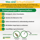 Bild 29 von 41