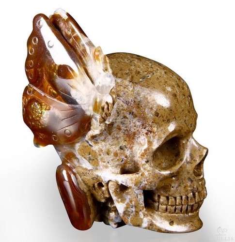 22.02.2015 ACSAD (Ein Kristallschädel am Tag) - Die Feenfliege - Feuerachat geschnitzt - Bild 1 von 9