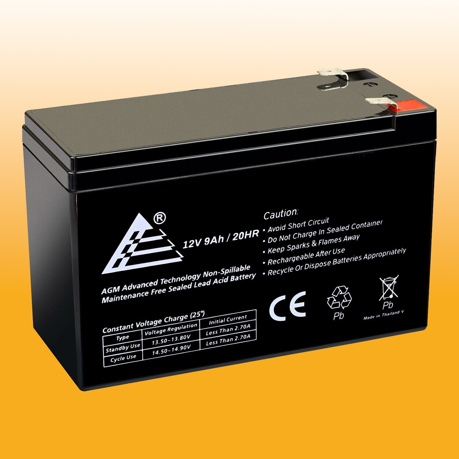 12V, 9Ah Battery, AGM