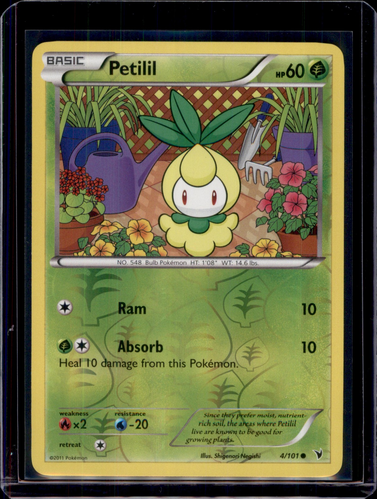 Petilil Noble Victories Pokémon 4/101 Common NM+