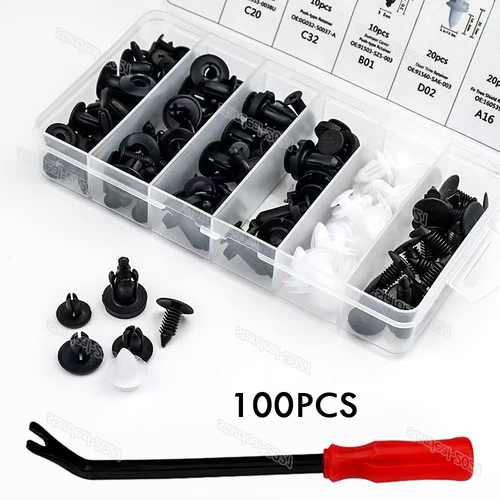 100 PCS Car Clips Fixer Auto Plastic Fasteners Kit Push Type Rivet Assortment