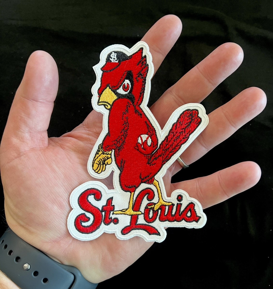 Vintage Logo Bird St. Louis Cardinals Big Large 5in
