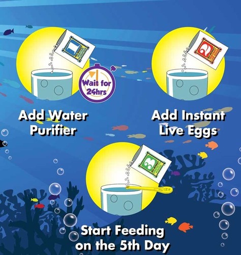 The Original Sea Monkeys - Magiquarium - Picture 3 of 4