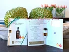 3x Eminence ROSEHIP TRIPLE C+E FIRMING OIL Card VIAL Samples Fresh + Bonus ?