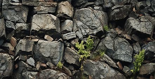 48X24In Stone Aquarium Background, Natural Rocky Glass Terrarium Background - Picture 12 of 12