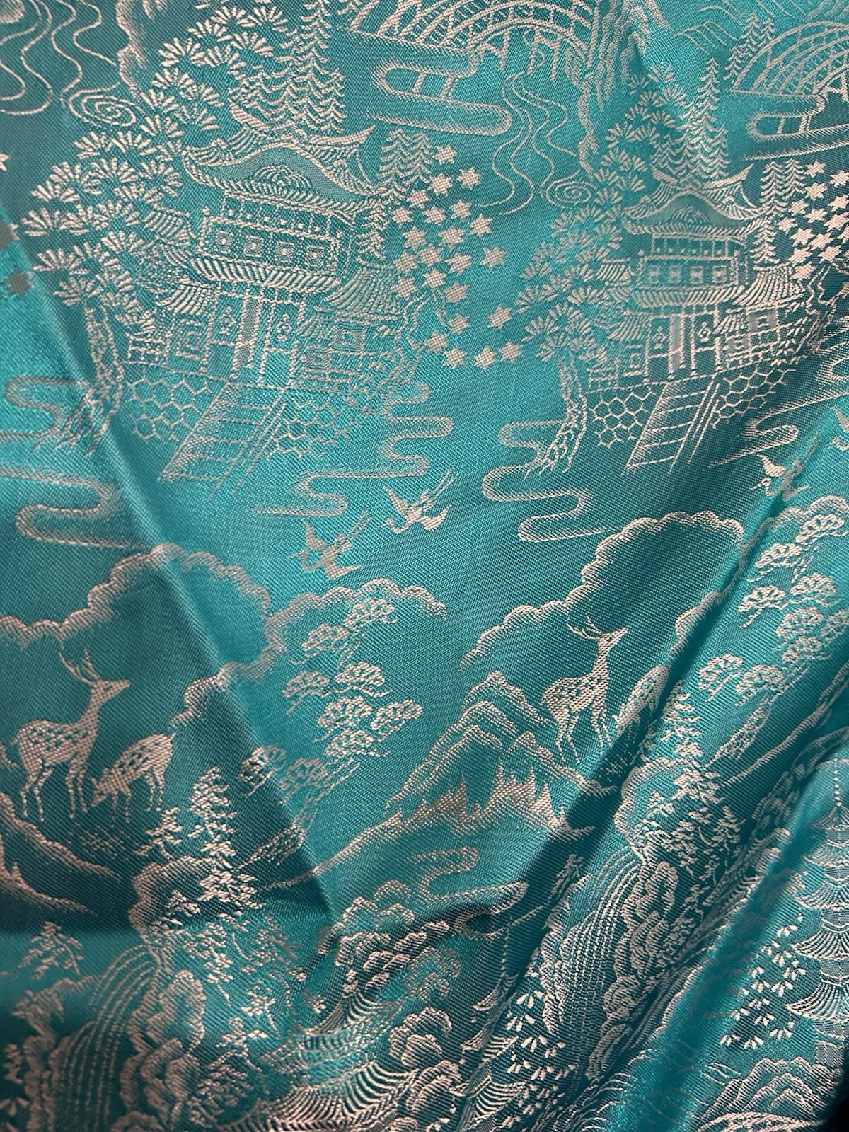 Picture 8 of 13