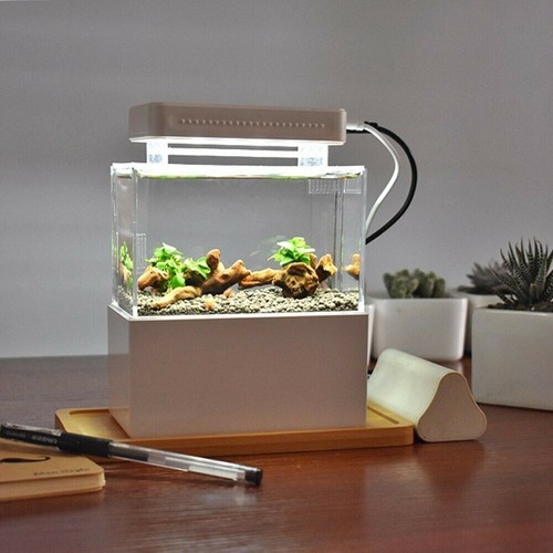 1L Mini Aquarium Komplett set Dekoration mit LED Beleuchtung Pumpe & Filter - Bild 2 von 24