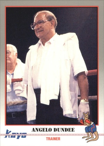 1991 Kayo Boxing complete your set you Pick 1 - 250 - Picture 8 of 467