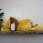 Picture 13 of 21