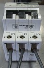 Foto 8 di 8