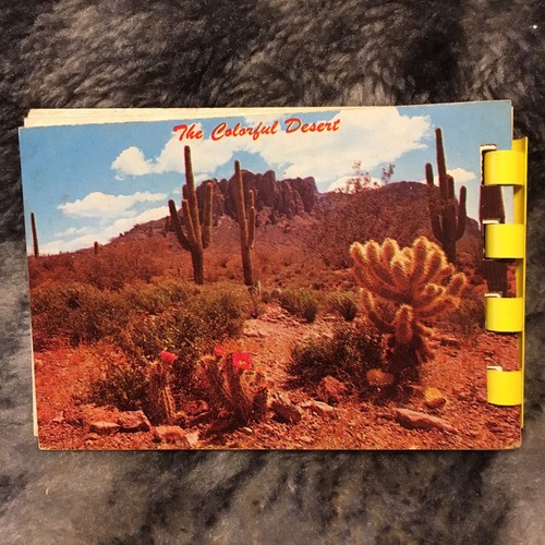 New Mexico Arizona Albuquerque Postcards and Small Souvenir Photo Books 60s - Picture 4 of 12