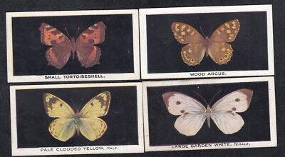 4 1927 British BUTTERFLIES Cards SMALL TORTOISESHELL WOOD ARGUS ++