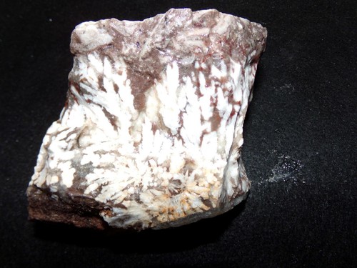 WEBERockin: Snow Plume Agate Rough Chunk 1 Pound 8 Ounces, Chihuahua Mexico - Picture 3 of 12