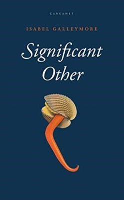 SIGNIFICANT OTHER by Isabel Galleymore Paperback Self Help Business