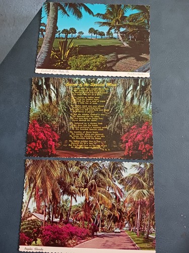 VINTAGE FLORIDA UNUSED POSTCARD LOT X73 ORANGE BOWL NAPLES DISNEY ORANGES GARDEN - Picture 6 of 16