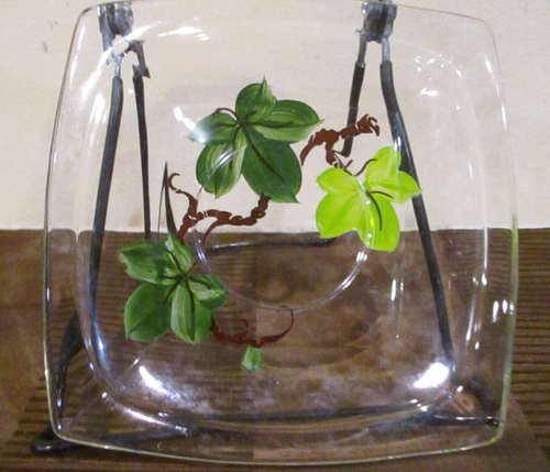 Franciscan Square American Ivy Leaf Glass Salad & Dessert Plates, Pattern (5pc) - Picture 6 of 7