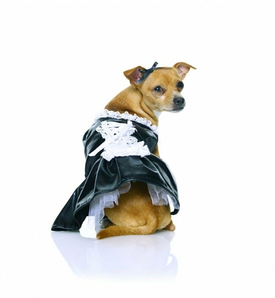  Rubie's Hot Dog Pet Costume, Small : Pet Supplies