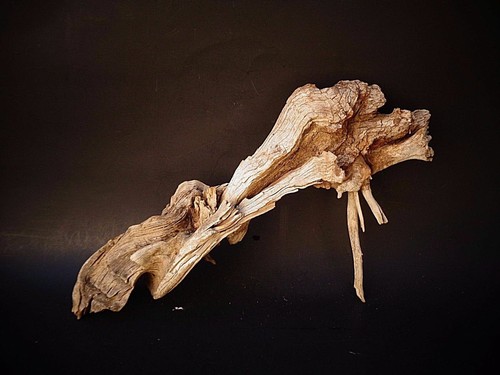 natural Driftwood Art Craft statue aquarium drift wood 11" dragon root - Bild 5 von 10