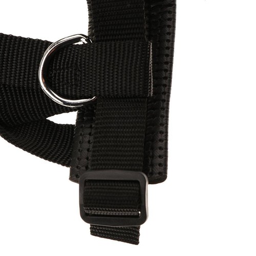 Maulschlaufe mit Anti-Biss Maulkorb zur Verhinderung von Hunde-Beißen sofort da - Bild 5 von 17