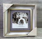Fetco Home Decor Gold Metal Picture Frame 4" X 4" Home Is Where Your Dog Is NEW