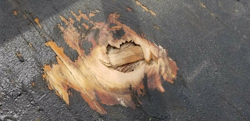 Pegamento epoxi sin flacidez 4 unión de alta resistencia metal madera acero hormigón plástico - Imagen 11 de 12